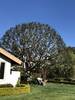 Image_(3)