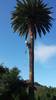 Image_(2)