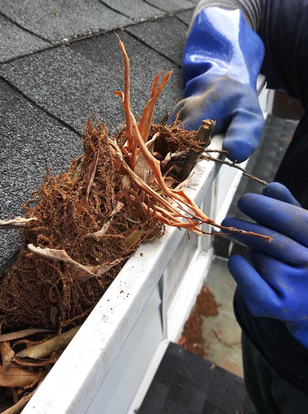 Gutter Service | Alex Gutter Cleaning LLC | Bridgeton, NJ