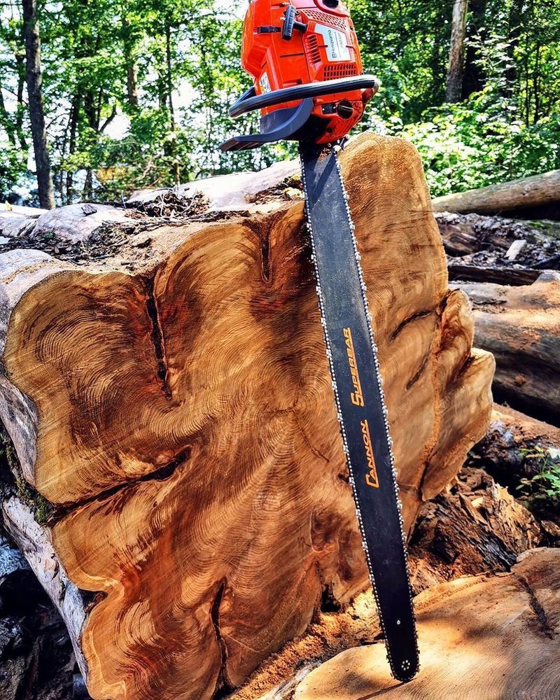 Tree Service D & S Yardworks LLC Bolton, CT