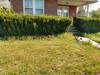 LawnMowing_(7)