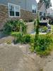 LawnMowing_(13)
