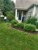 LawnMowing_(23)