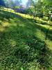 IMG-20220618-WA0020