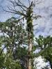 IMG-20220815-WA0002