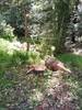IMG-20220815-WA0004