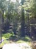 IMG-20220815-WA0003