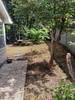 IMG-20220815-WA0010