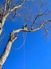 IMG-20230110-WA0002