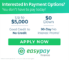 image2-300x262EASYPAY
