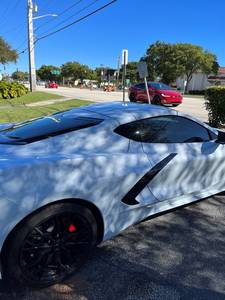 IMG_7883_(Large)