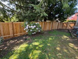 1e70352c-209c-4eda-9e51-bf8a4403f42a