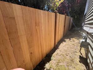 03a83542-8b20-4c23-a6b6-782e0c190abe