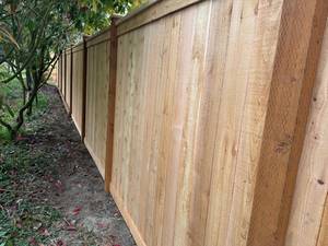 5decc53f-152e-480d-bed8-4d17e1017241