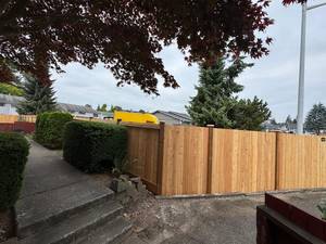 54a0f237-e27b-4a78-991b-4161e65cdc93