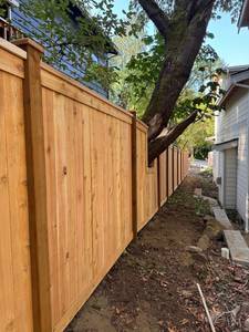 0773bad9-08d5-4d12-a412-8bdba50df293