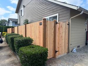 2981c695-c4eb-4d70-aace-d1e5dd0c4111