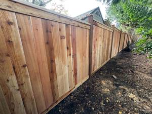 76004484-e626-4e18-96a1-60ef74db7cc4_(Large)