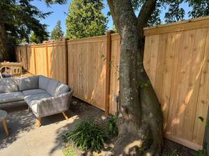 bc21074d-94fa-49b5-809c-c62bdbe55e39