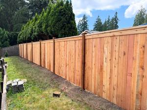 d70a5b12-fec3-4331-a58c-fdec04a33ee8