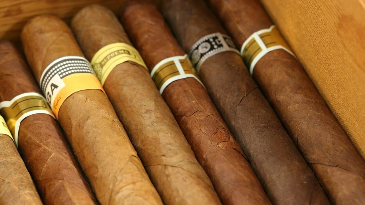 Cigars