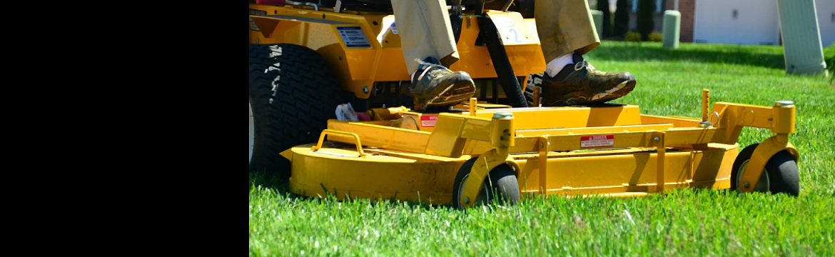 Bright Lawn Landscape Maintenance LLC - Landscaping in Salem