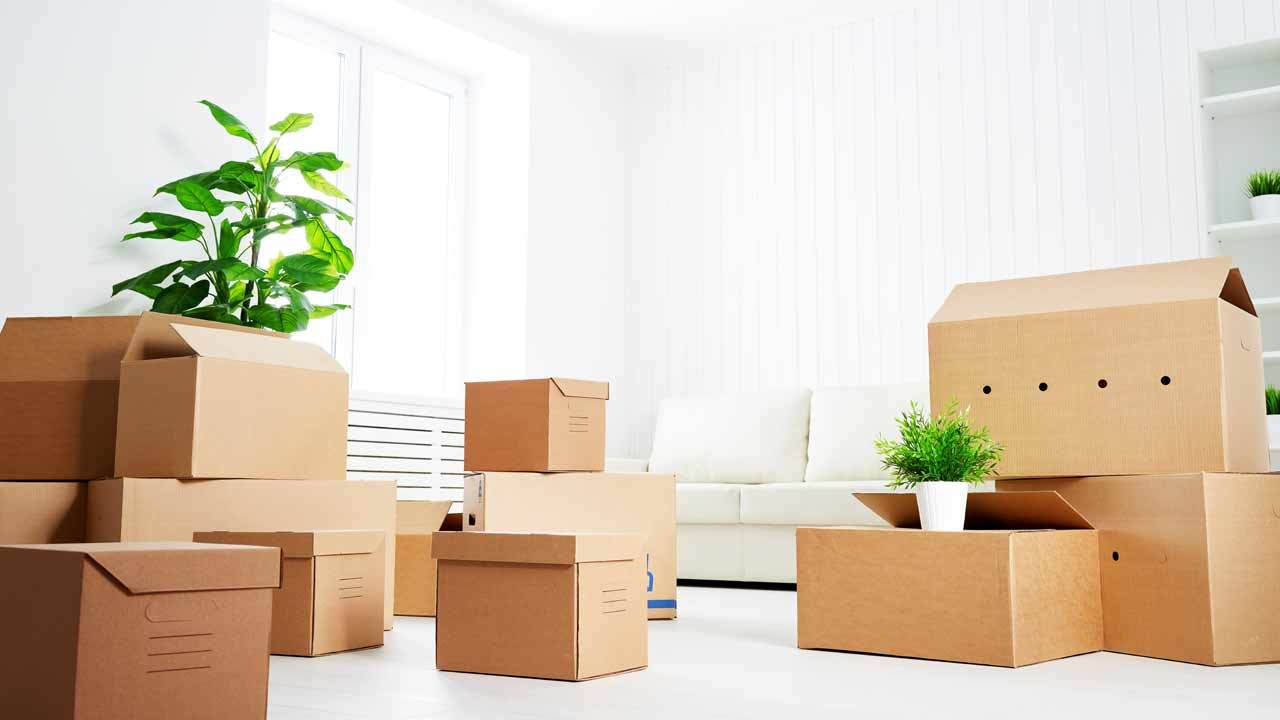 Serviece movein cleaning 01345t