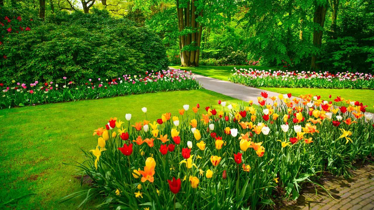 Hardscaping in Freehold, NJ (732) 9841229 Romero