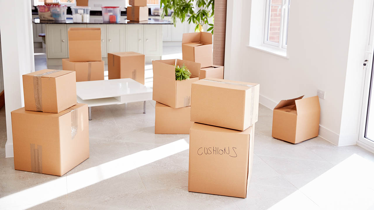 Moving Company Larios Moving Services San Rafael Ca